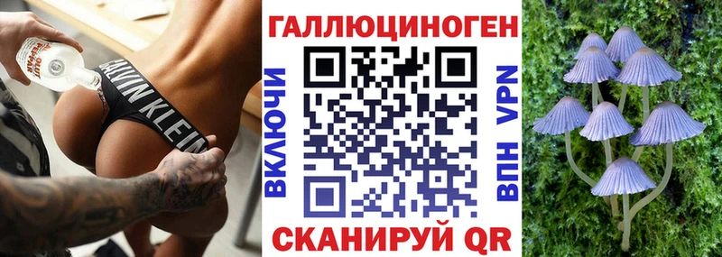 где можно купить наркотик  кракен зеркало  Псилоцибиновые грибы GOLDEN TEACHER  Малаховка 